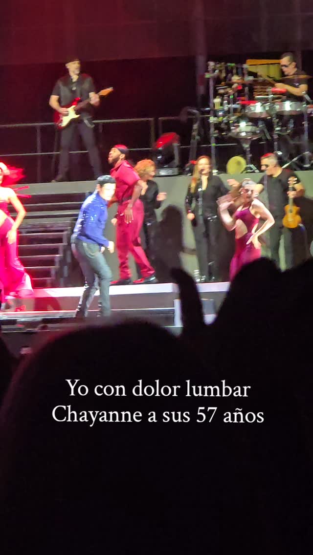 Contenido 8