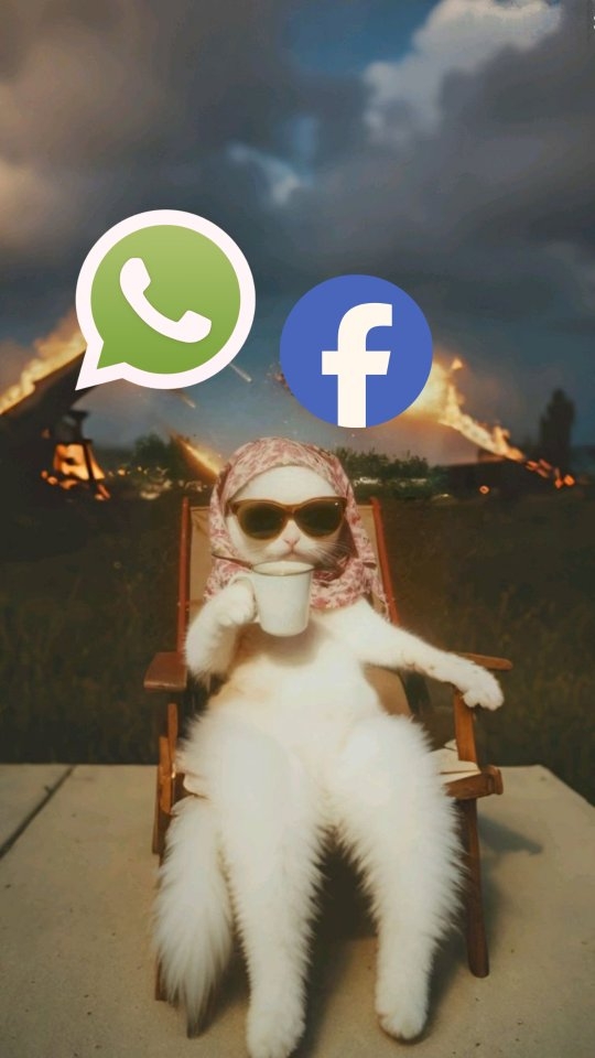 Trabajo 3